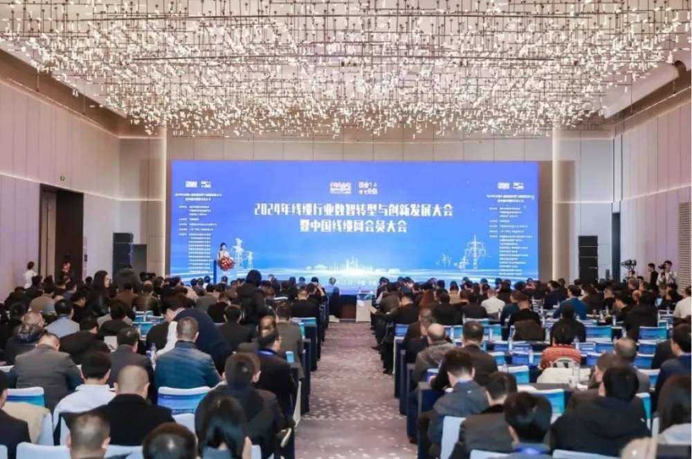 PA视讯游戏股份荣获“2024年度中国线缆行业领军品牌企业”