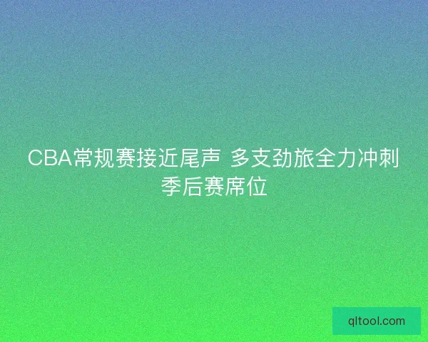 CBA常规赛接近尾声 多支劲旅全力冲刺季后赛席位