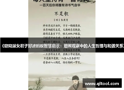 《窈窕淑女君子好逑蚂蚁智慧启示：细微观察中的人生哲理与和谐关系》